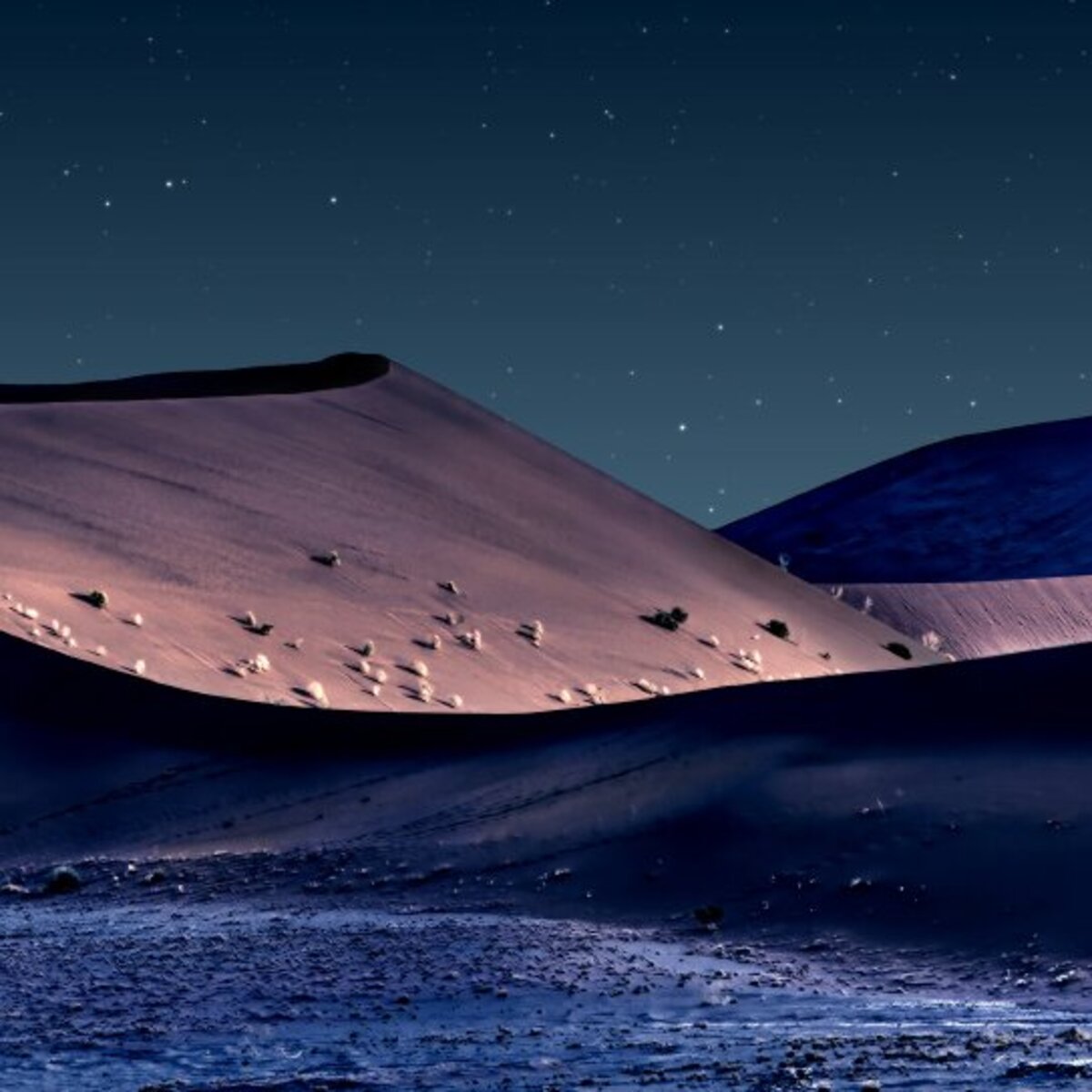 Magna ECS Simulation Conference 2025